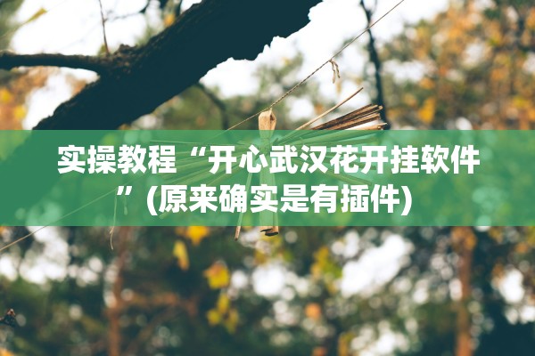 实操教程“开心武汉花开挂软件”(原来确实是有插件) 