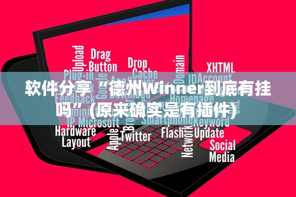 软件分享“德州Winner到底有挂吗”(原来确实是有插件) 