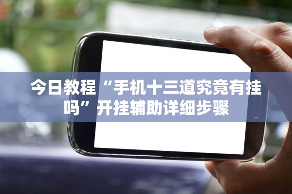 今日教程“手机十三道究竟有挂吗”开挂辅助详细步骤