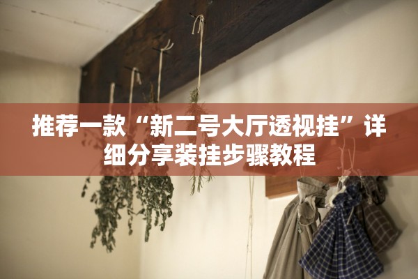 推荐一款“新二号大厅透视挂”详细分享装挂步骤教程