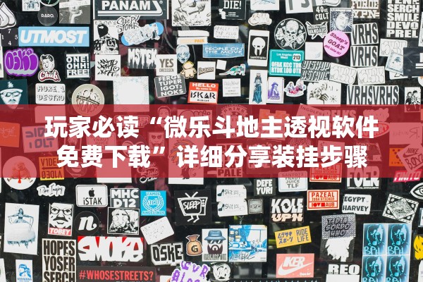 玩家必读“微乐斗地主透视软件免费下载”详细分享装挂步骤