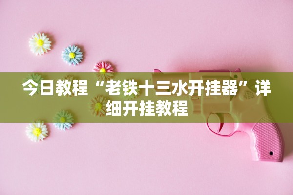 今日教程“老铁十三水开挂器”详细开挂教程