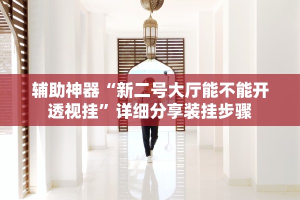 辅助神器“新二号大厅能不能开透视挂”详细分享装挂步骤