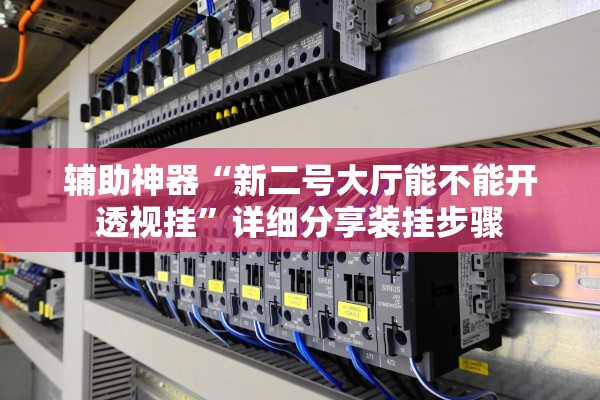 辅助神器“新二号大厅能不能开透视挂”详细分享装挂步骤