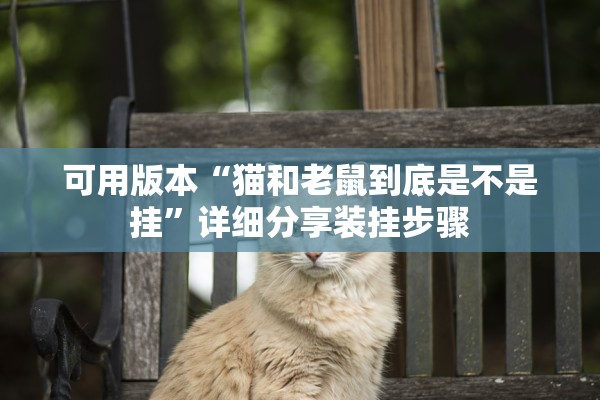 可用版本“猫和老鼠到底是不是挂”详细分享装挂步骤