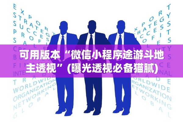 可用版本“微信小程序途游斗地主透视	”(曝光透视必备猫腻)