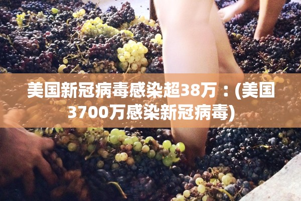 美国新冠病毒感染超38万︰(美国3700万感染新冠病毒)