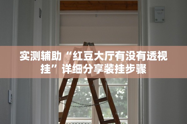 实测辅助“红豆大厅有没有透视挂”详细分享装挂步骤