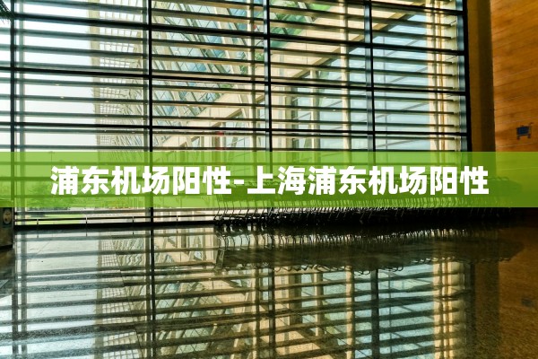 浦东机场阳性-上海浦东机场阳性