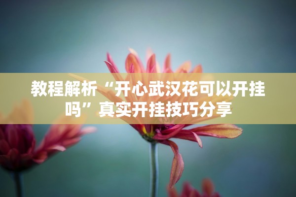 教程解析“开心武汉花可以开挂吗”真实开挂技巧分享