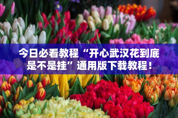 今日必看教程“开心武汉花到底是不是挂”通用版下载教程！