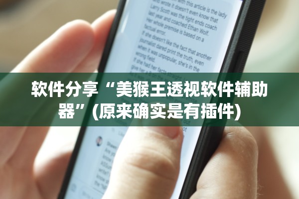 软件分享“美猴王透视软件辅助器”(原来确实是有插件)