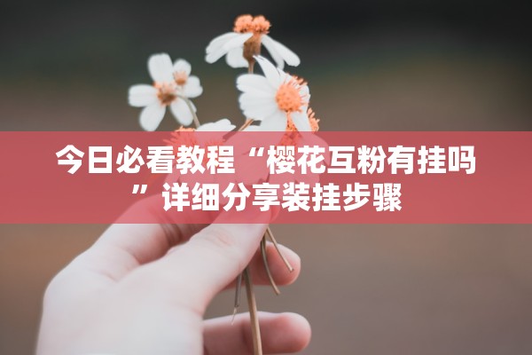 今日必看教程“樱花互粉有挂吗	”详细分享装挂步骤