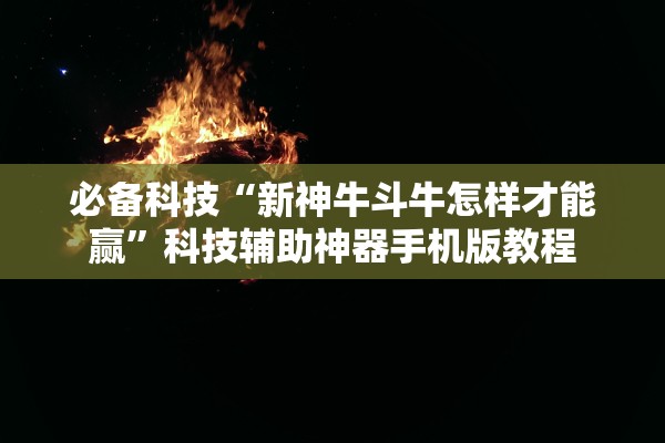 必备科技“新神牛斗牛怎样才能赢”科技辅助神器手机版教程