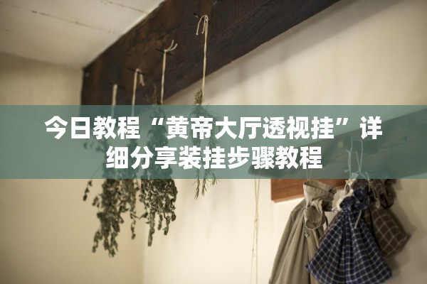 今日教程“黄帝大厅透视挂”详细分享装挂步骤教程