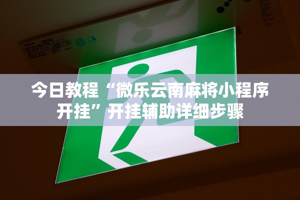 今日教程“微乐云南麻将小程序开挂”开挂辅助详细步骤