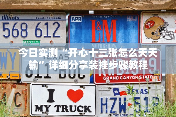 今日实测“开心十三张怎么天天输”详细分享装挂步骤教程