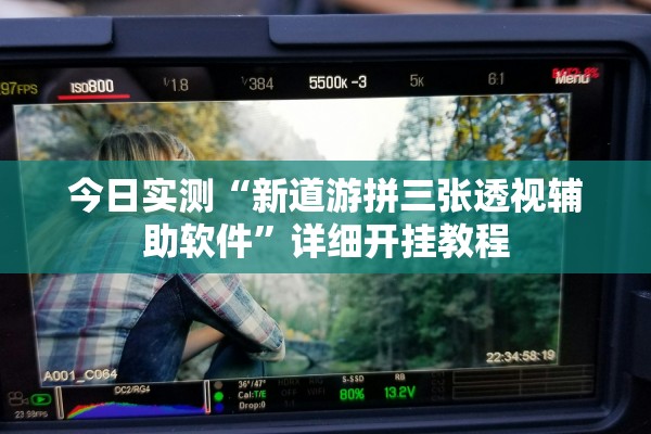 今日实测“新道游拼三张透视辅助软件”详细开挂教程
