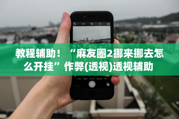 教程辅助！“麻友圈2挪来挪去怎么开挂”作弊(透视)透视辅助 