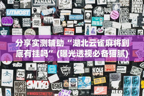 分享实测辅助“湖北云雀麻将到底有挂吗”(曝光透视必备猫腻)