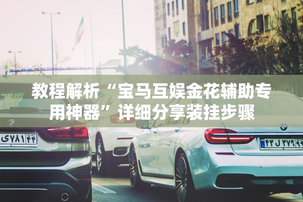 教程解析“宝马互娱金花辅助专用神器”详细分享装挂步骤