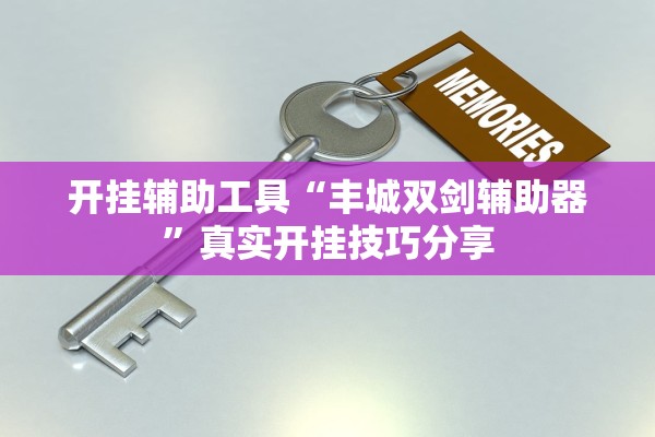 开挂辅助工具“丰城双剑辅助器	”真实开挂技巧分享