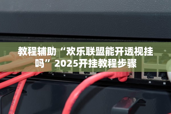教程辅助“欢乐联盟能开透视挂吗”2025开挂教程步骤
