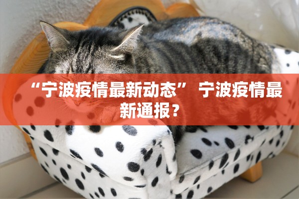“宁波疫情最新动态	” 宁波疫情最新通报？