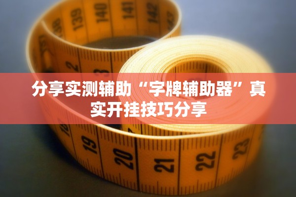 分享实测辅助“字牌辅助器”真实开挂技巧分享