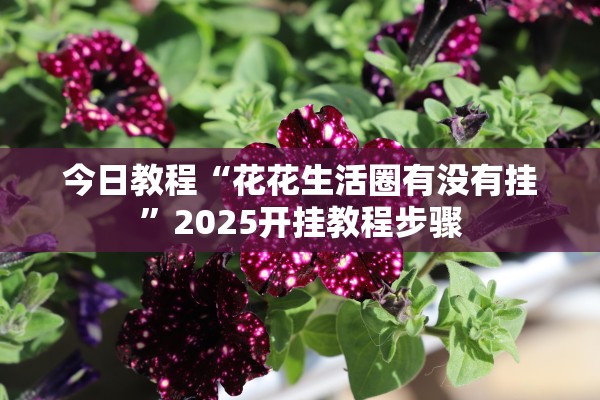 今日教程“花花生活圈有没有挂”2025开挂教程步骤