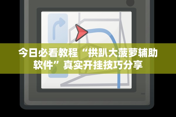 今日必看教程“拱趴大菠萝辅助软件”真实开挂技巧分享