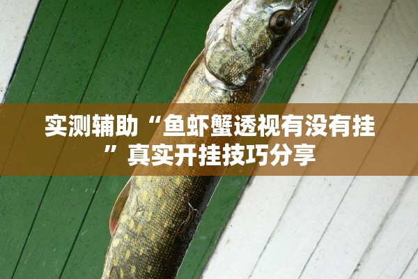 实测辅助“鱼虾蟹透视有没有挂”真实开挂技巧分享