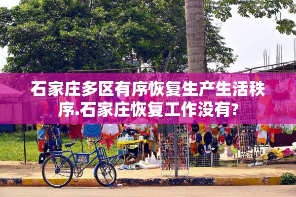 石家庄多区有序恢复生产生活秩序.石家庄恢复工作没有?