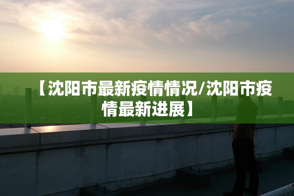 【沈阳市最新疫情情况/沈阳市疫情最新进展】