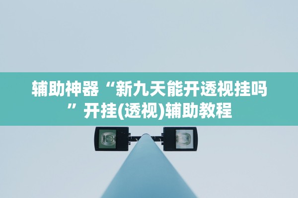 辅助神器“新九天能开透视挂吗”开挂(透视)辅助教程