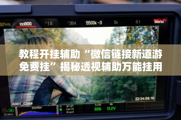 教程开挂辅助“微信链接新道游免费挂	”揭秘透视辅助万能挂用法