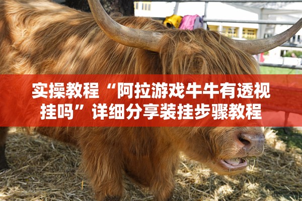 实操教程“阿拉游戏牛牛有透视挂吗	”详细分享装挂步骤教程