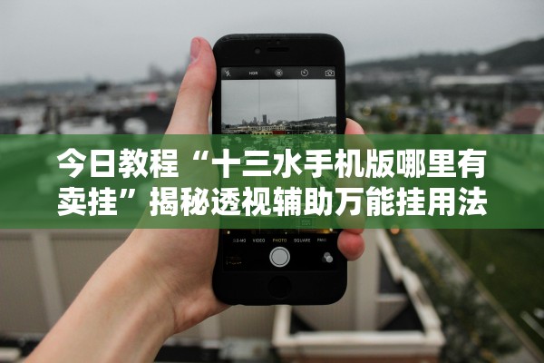 今日教程“十三水手机版哪里有卖挂”揭秘透视辅助万能挂用法