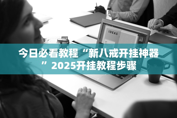 今日必看教程“新八戒开挂神器	”2025开挂教程步骤