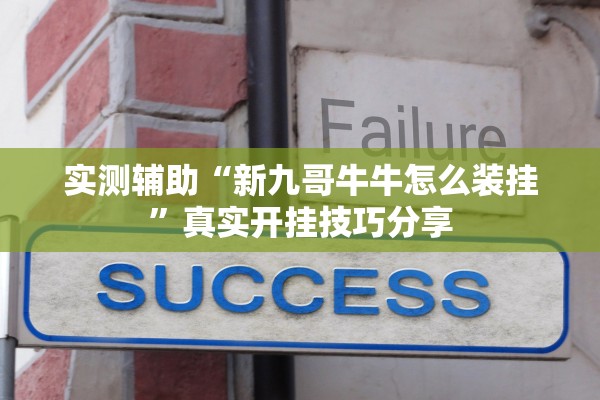 实测辅助“新九哥牛牛怎么装挂”真实开挂技巧分享