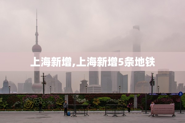 上海新增,上海新增5条地铁