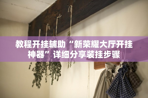 教程开挂辅助“新荣耀大厅开挂神器	”详细分享装挂步骤