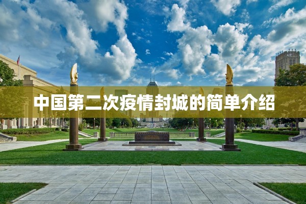 中国第二次疫情封城的简单介绍