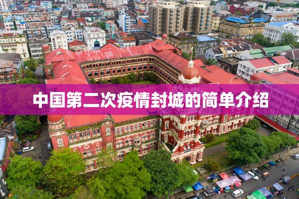 中国第二次疫情封城的简单介绍