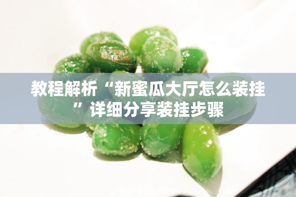 教程解析“新蜜瓜大厅怎么装挂”详细分享装挂步骤