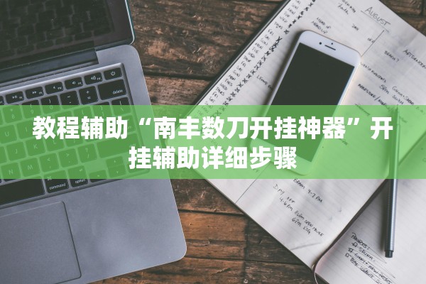 教程辅助“南丰数刀开挂神器”开挂辅助详细步骤