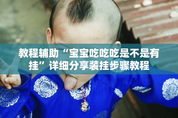 教程辅助“宝宝吃吃吃是不是有挂”详细分享装挂步骤教程