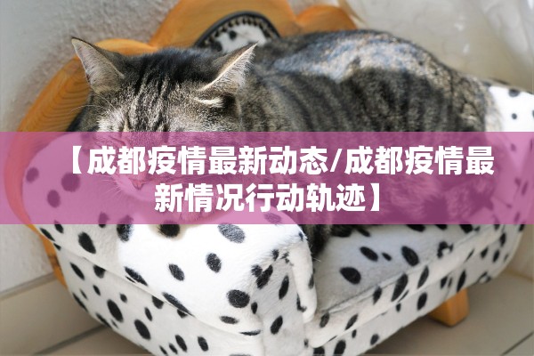 【成都疫情最新动态/成都疫情最新情况行动轨迹】