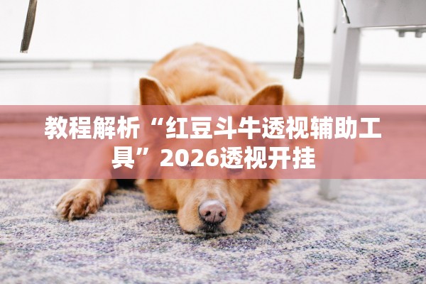 教程解析“红豆斗牛透视辅助工具”2026透视开挂