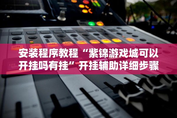 安装程序教程“紫锦游戏城可以开挂吗有挂”开挂辅助详细步骤